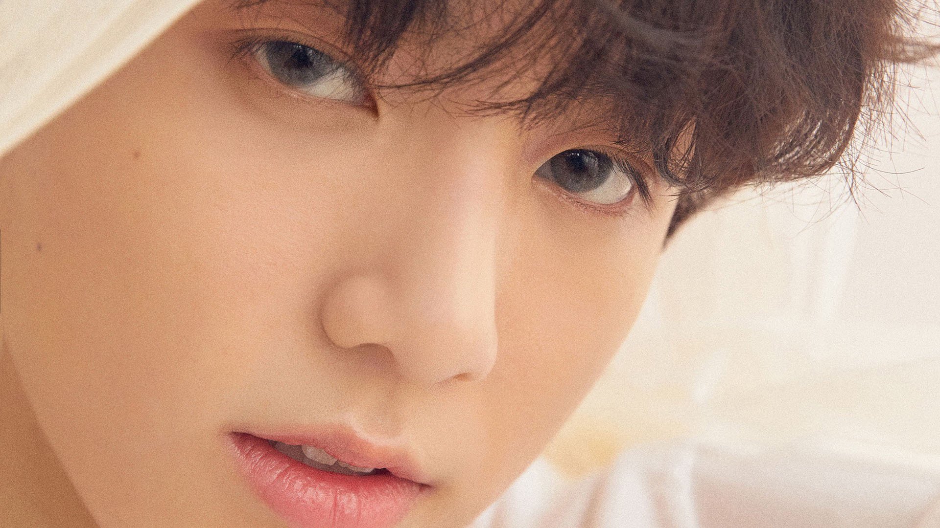 铁幕与火种，当波兰军团碾压瑞典神话，樊振东扛起一个国家的重量