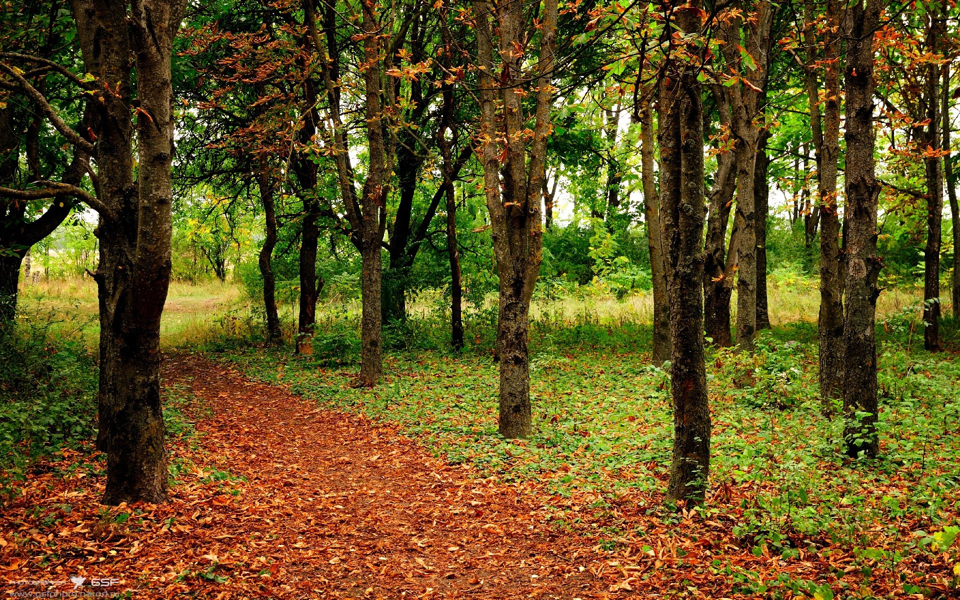 爱游戏官网-今夜不属于射手，当一个后腰用双响定义英超争冠之夜