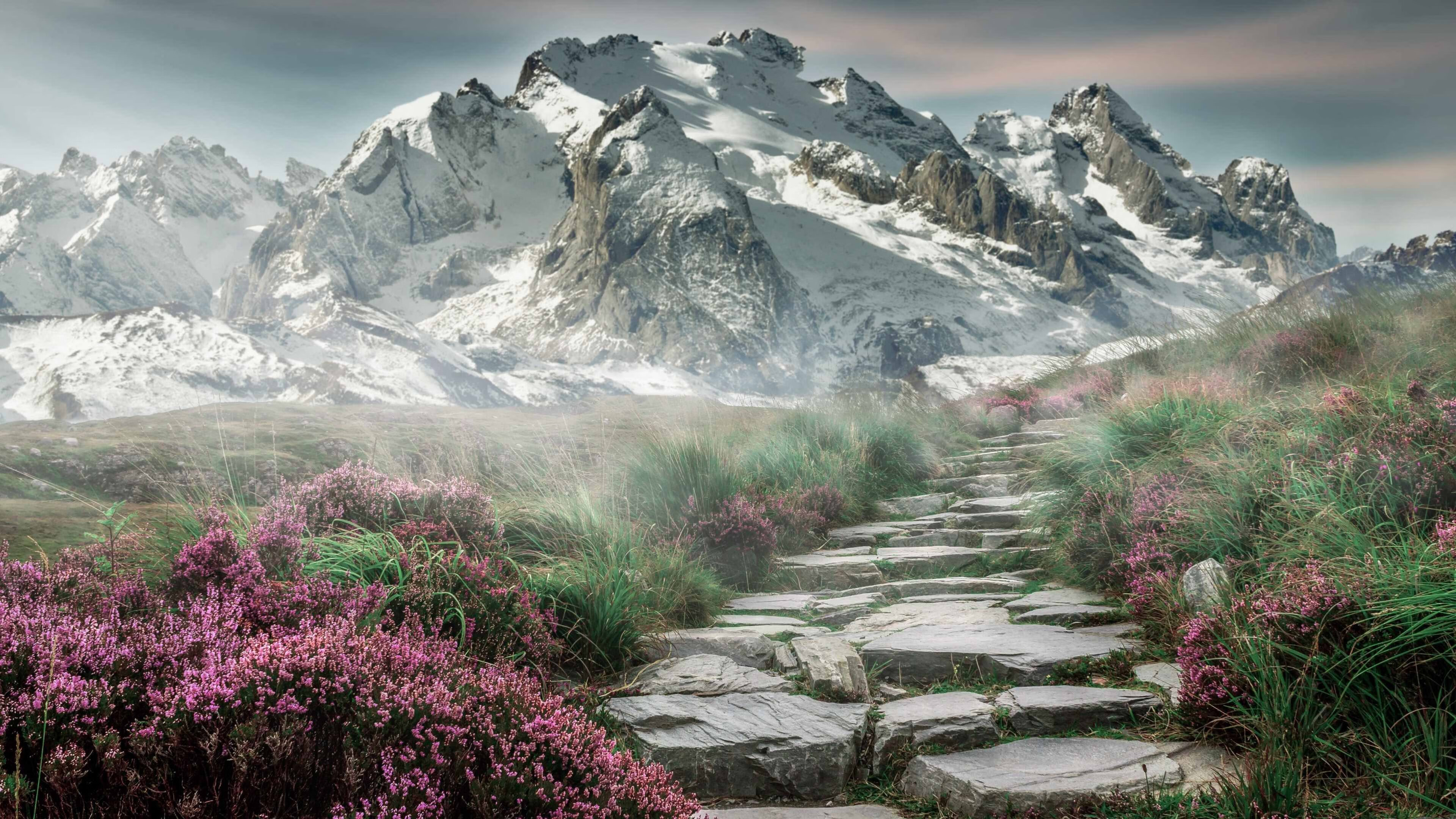 北美夏夜独奏，英格拉姆谱写世界杯心跳