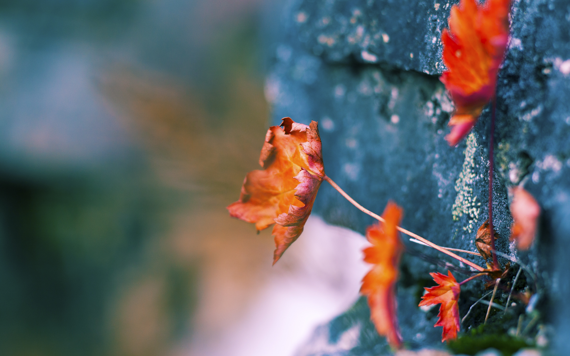 爱游戏APP-马刺vs太阳的隐形战场，为何全联盟都在谈论哈利伯顿的硬仗之王基因