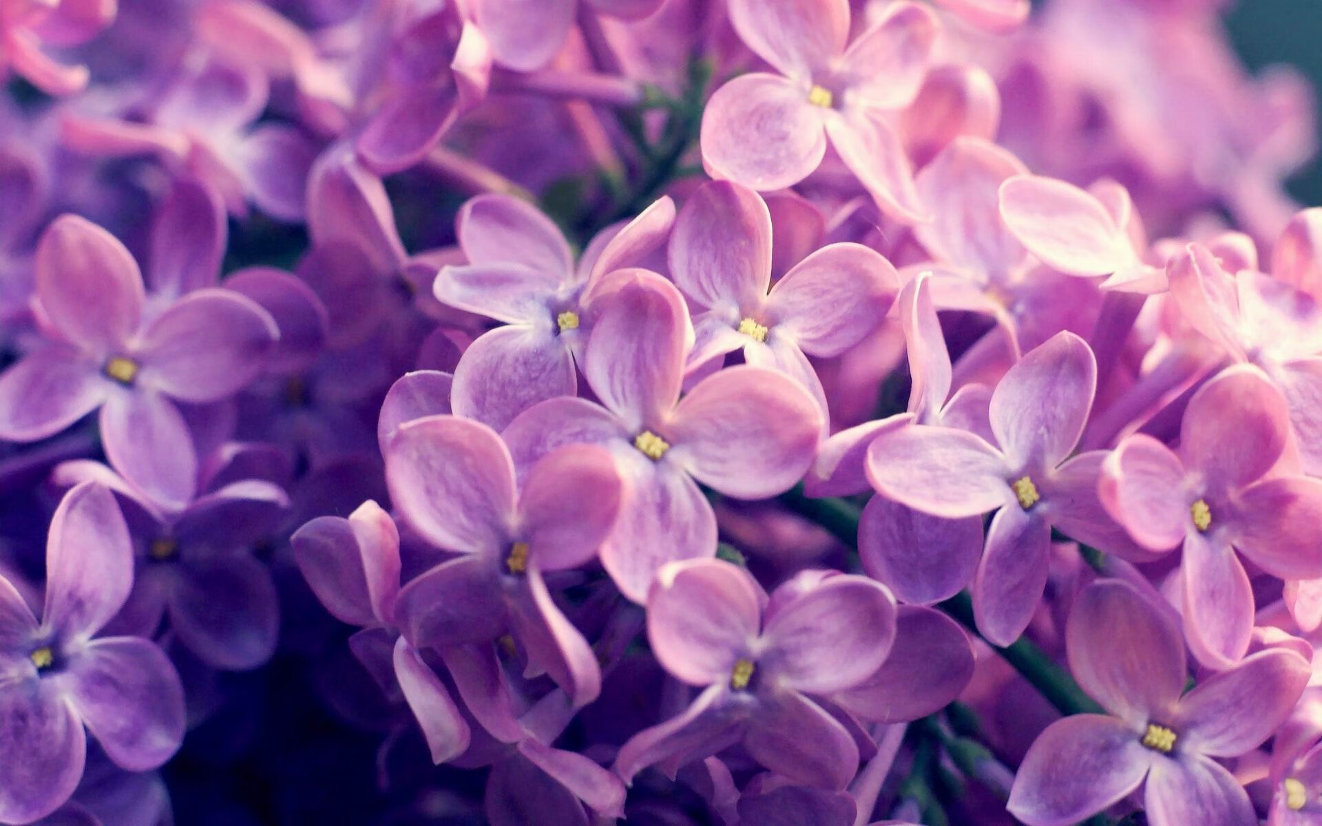 爱游戏官方入口-欧冠史诗对决，阿森纳血拼葡萄牙劲旅，格纳布里高能输出引爆全场