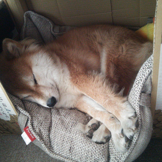 足坛平行宇宙，阿根廷压哨击败尤文，阿坎吉成为关键先生