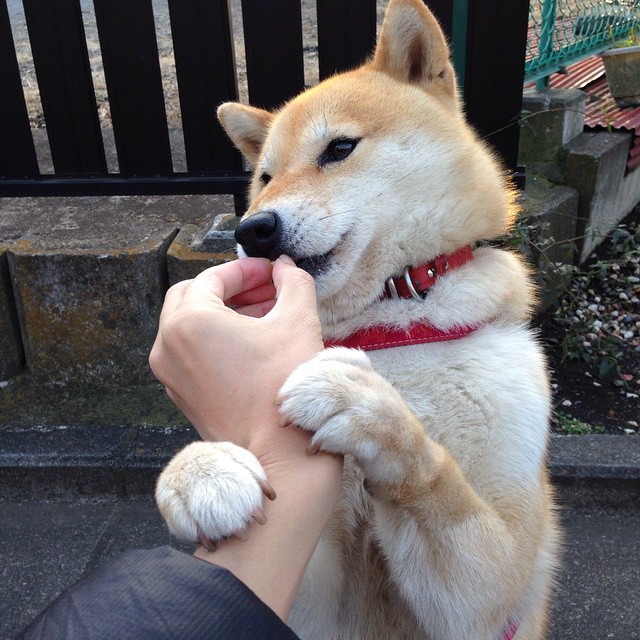 爱游戏-维度撕裂时，欧文的节奏成为唯一主宰，当76人与新疆队同时开打