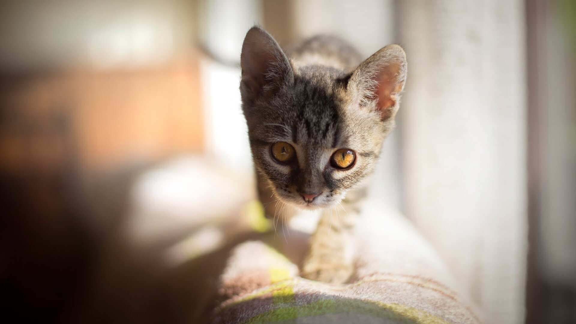当德国铁骑遇上美国精神,基耶萨的关键节点如何改写足球剧本