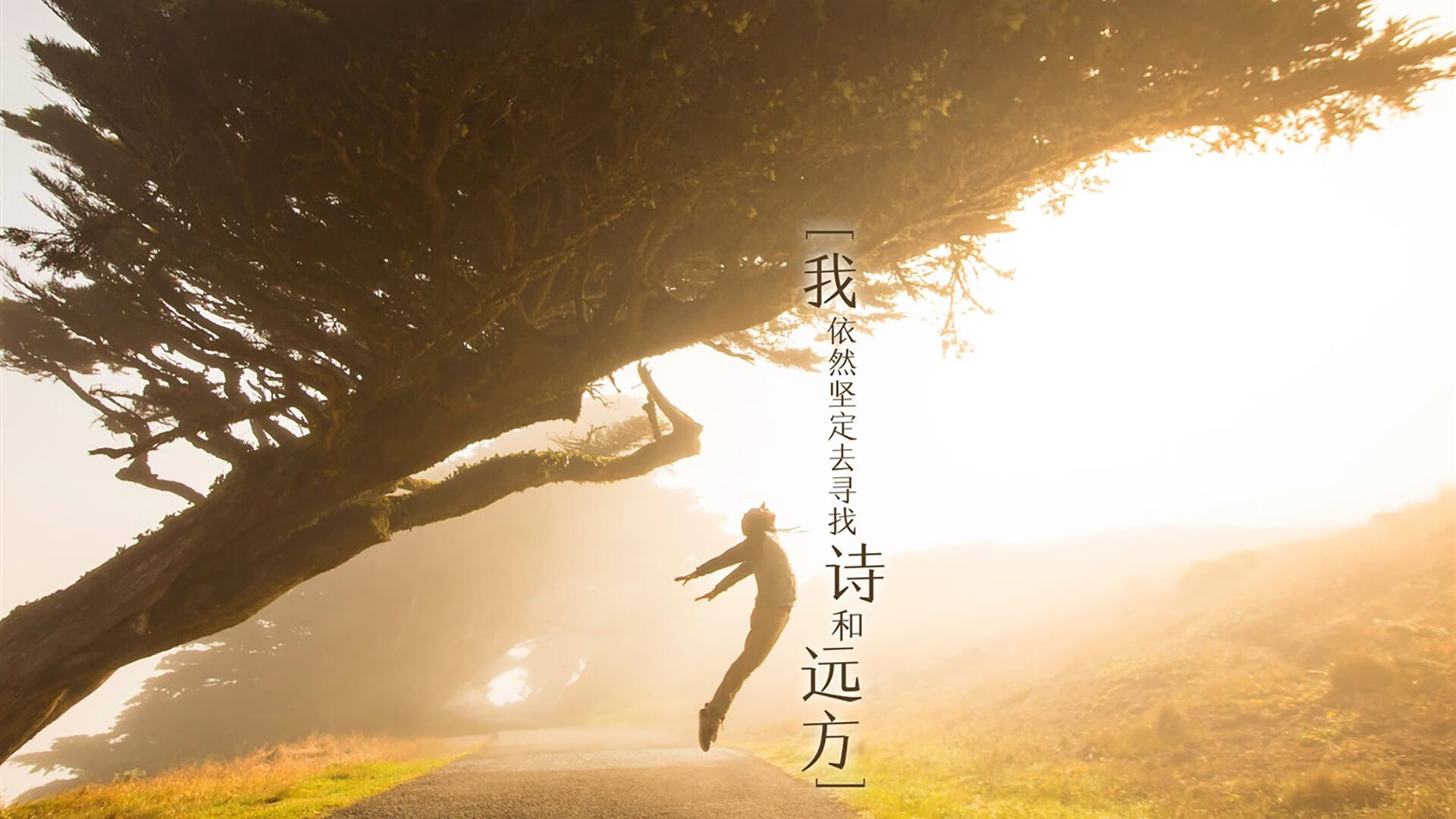 孤星耀世，2026世界杯B组生死战，波兰力克厄瓜多尔，穆西亚拉上演唯一之夜