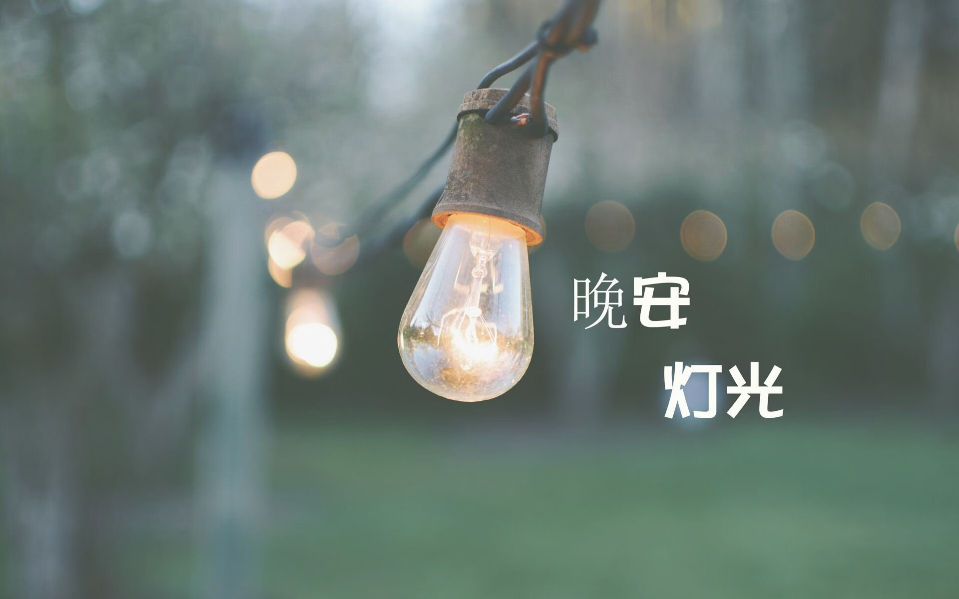 美洲雄狮震碎枫叶梦，喀麦隆碾压加拿大，布罗佐维奇掀起中场风暴