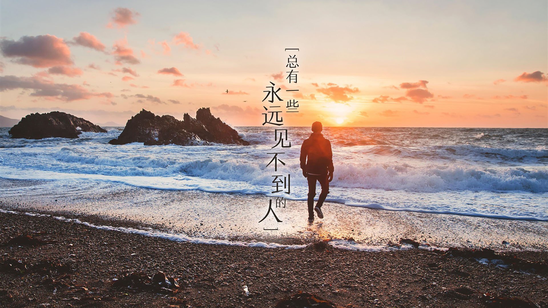 唯一的神迹，2026世界杯B组，哈兰德与门将共筑喀麦隆之墙，伊朗梦碎瞬间