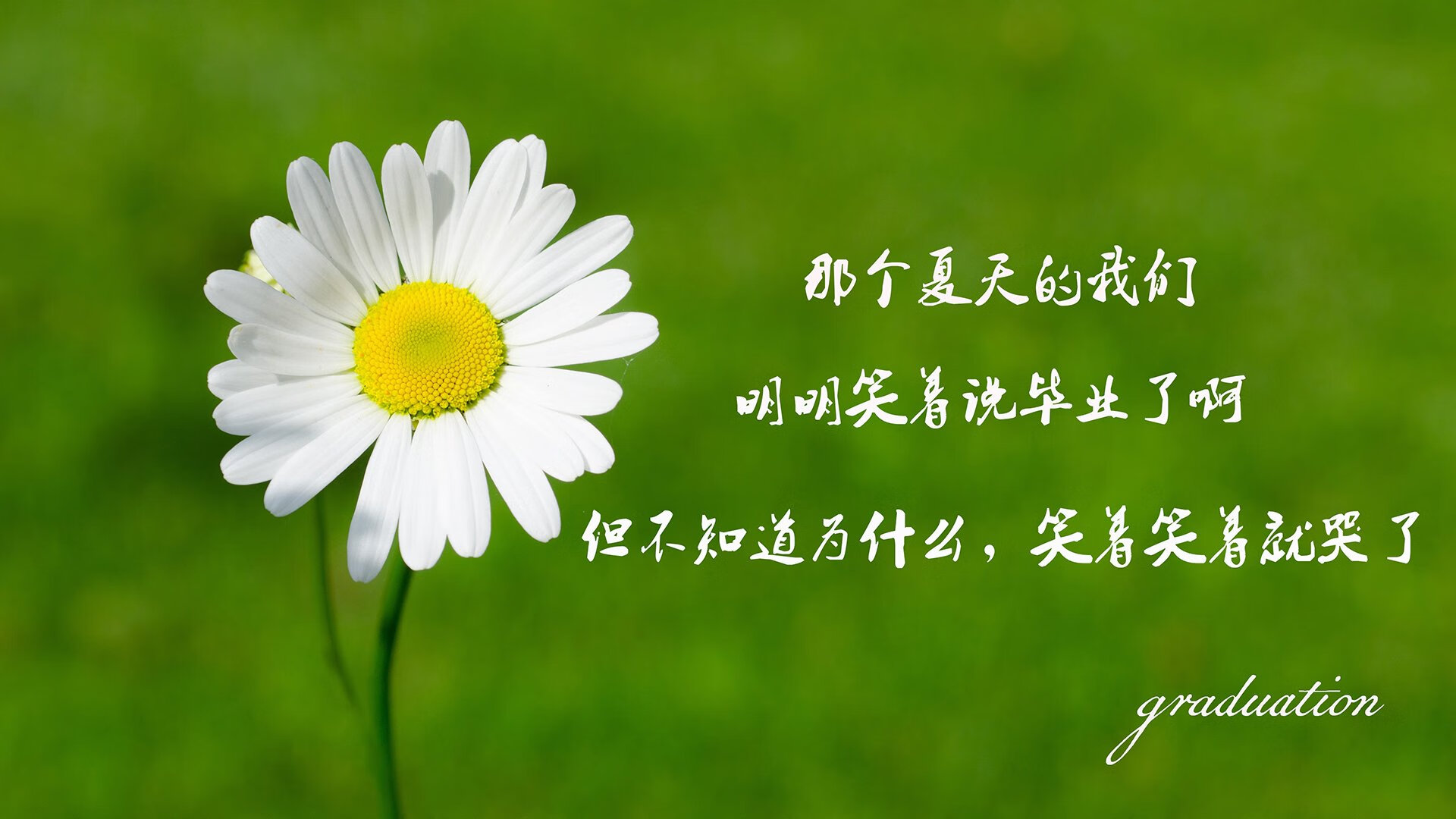 橙色风暴中的孤星,久保建英的逆光独舞,与那场让世界闭嘴的快速反击